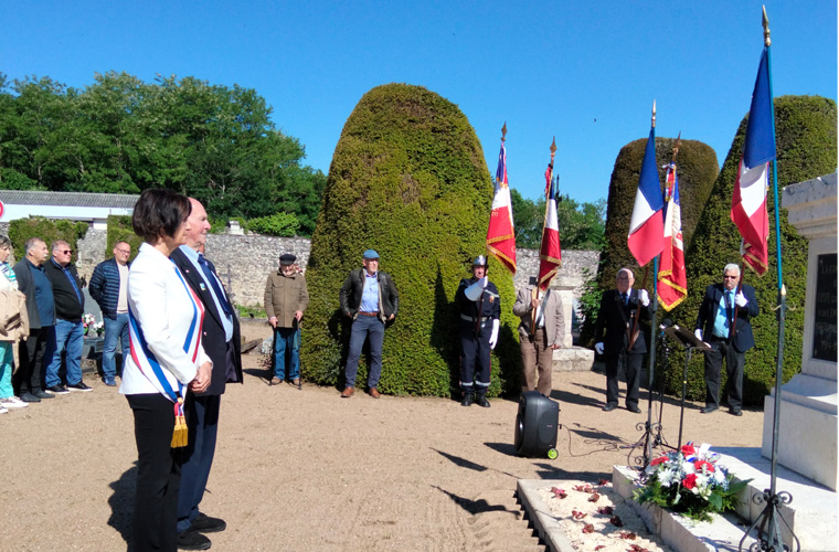 Voir l'article