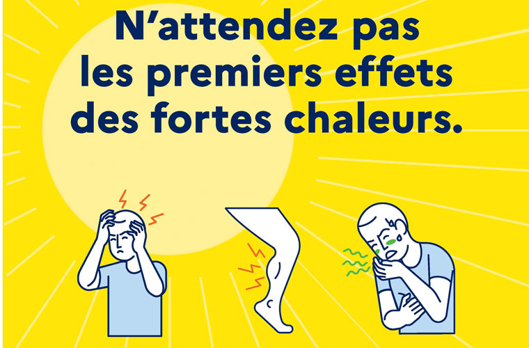 Voir l'article