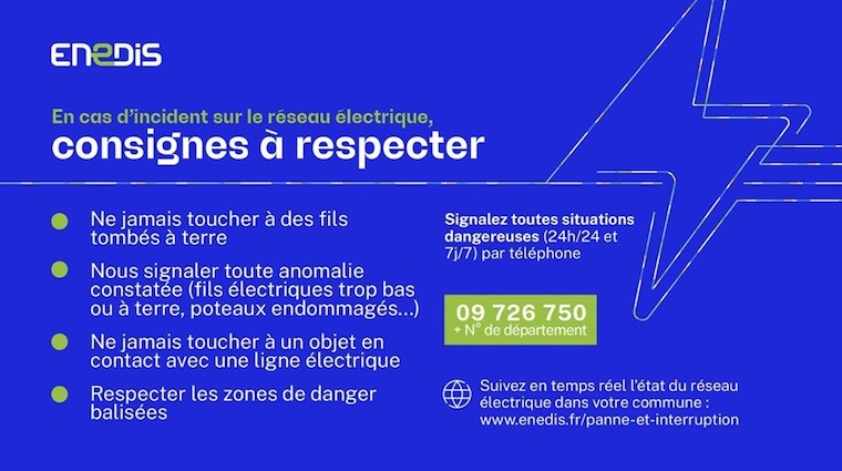 Voir l'article
